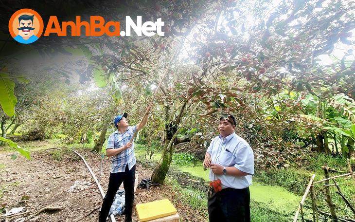 Khuyến nghị và kết luận