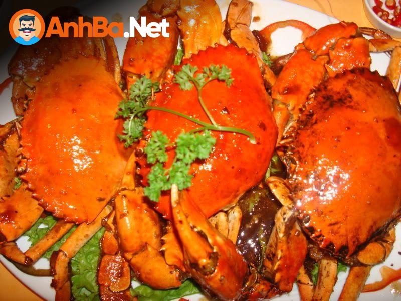 Côn Đảo: Vùng Đất Tâm Linh, Biển Xanh Vẫy Gọi