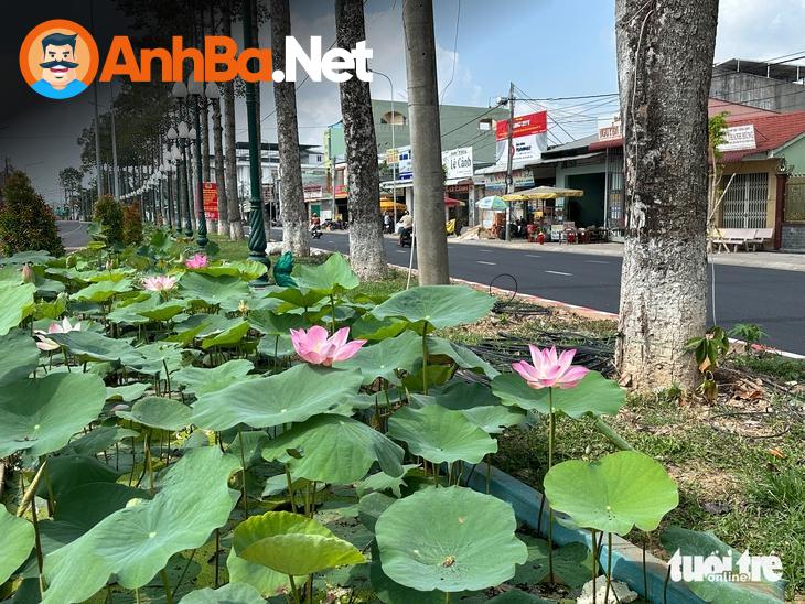Kết bài
