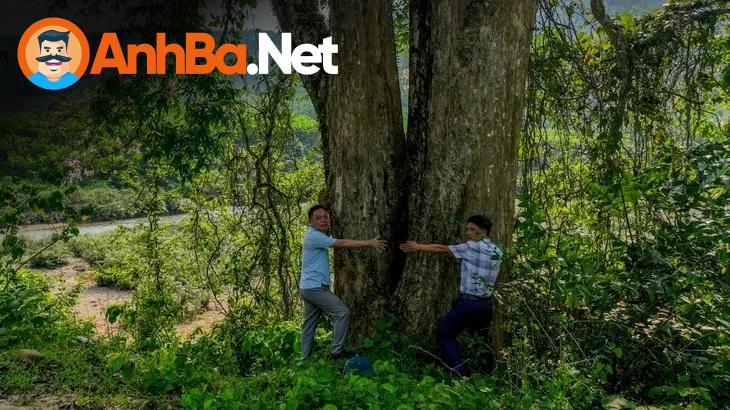 Khám Phá Thượng Nguồn Sông Gianh: Trải Nghiệm Du Lịch